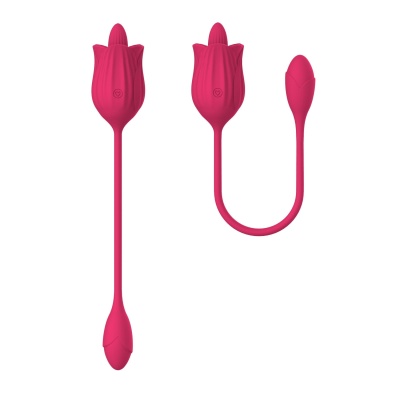 Stymulator łechtaczki Licking Massager z wibrującym jajkiem – różowy, silikonowy, 10 funkcji - 1