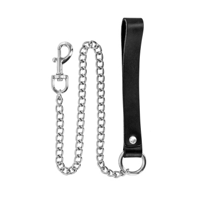 METAL LEASH WITH COW LEATHER WRIST - 1