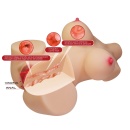 Masturbator torsowy Emma z technologią Sort Skin 36 x 36 x 15 cm - 9