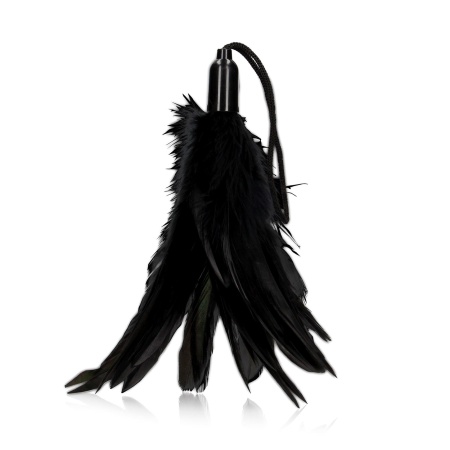 Small Feather Tickler - 1