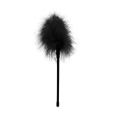 Feather - 1