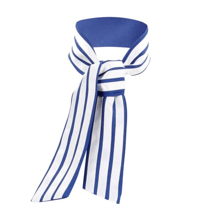 Stewardess Costume - S/M - Blue/White - 5