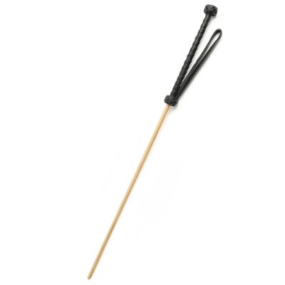 The Obedience Cane - 1