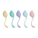 Pelvic Stem Kegel Kit - Multicolor - 1