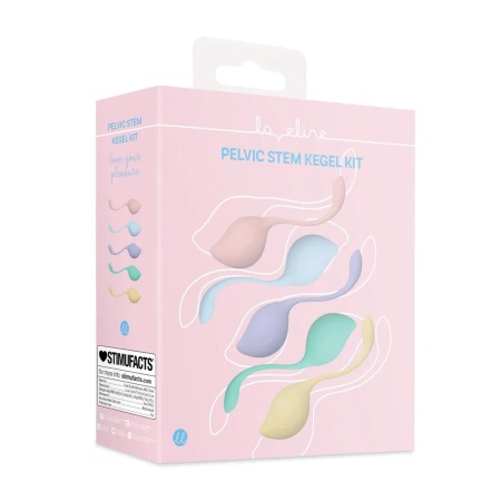 Pelvic Stem Kegel Kit - Multicolor - 2