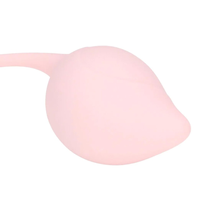 Pelvic Stem Kegel Kit - Multicolor - 5