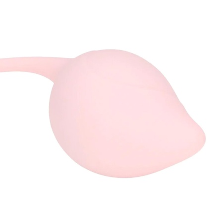 Pelvic Stem Kegel Kit - Multicolor - 5