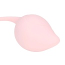 Pelvic Stem Kegel Kit - Multicolor - 5