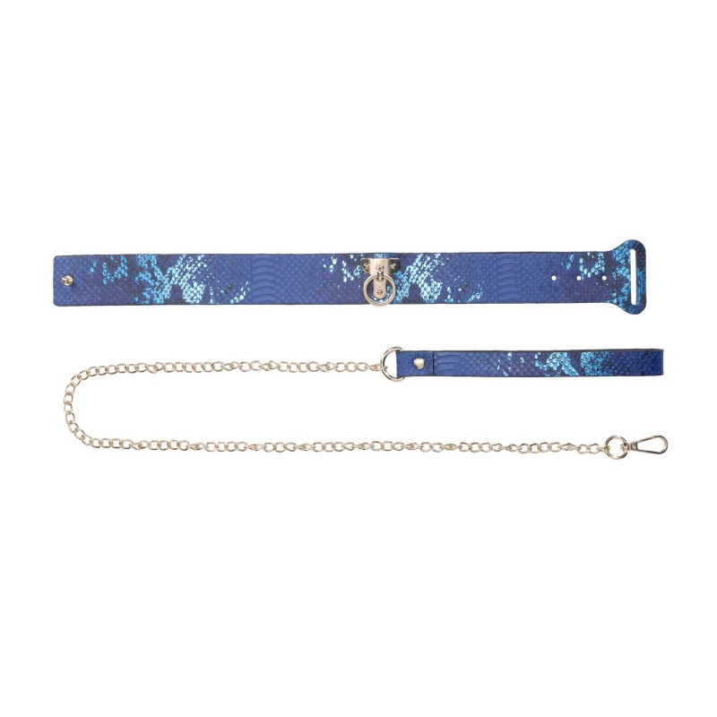 Florence Collection - Collar with Leash - Blue - 5
