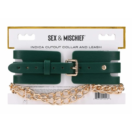Cutout Collar And Leash - 10