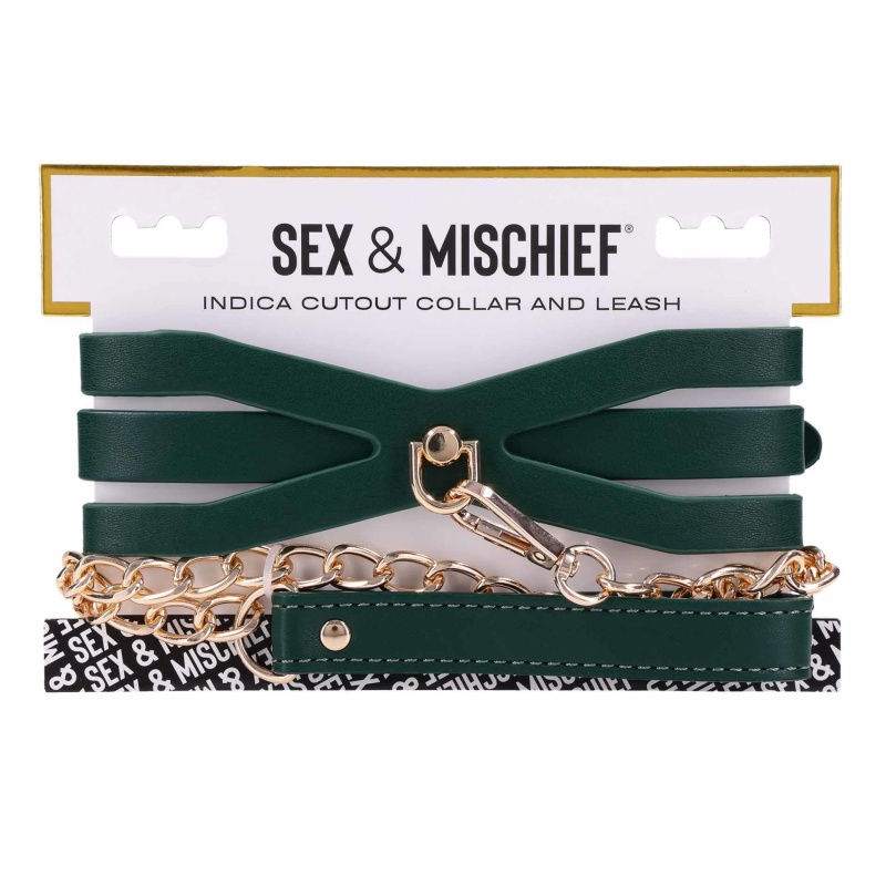 Cutout Collar And Leash - 11