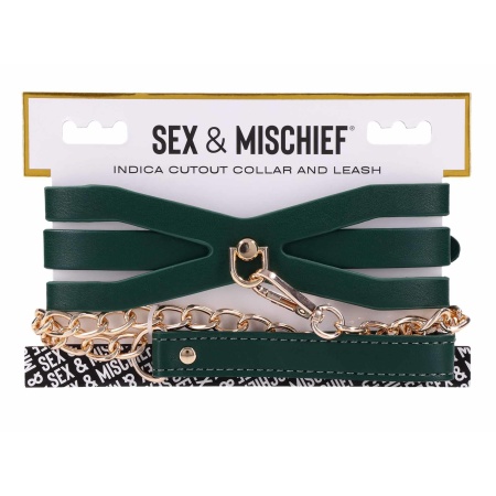 Cutout Collar And Leash - 11