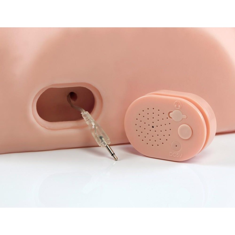 Masturbator Torso PDXM DT Interactive Fuck Him S z realistycznym penisem 15 cm, kanałem analnym 17,8 cm i wibracją - 6