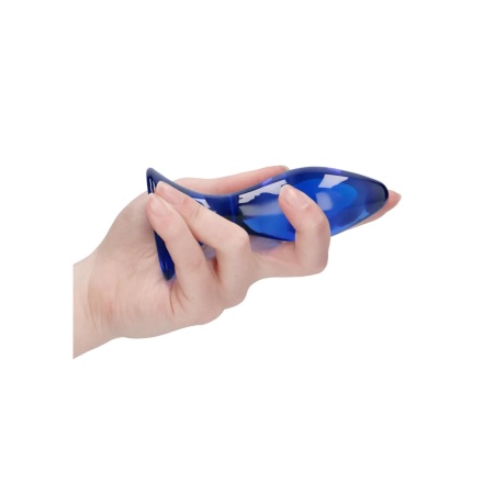 Follower - Glass Butt Plug - 10