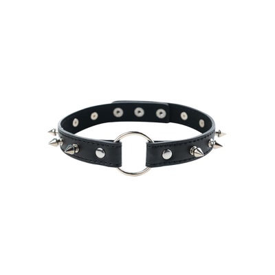 Adjustable collar with spikes - 1