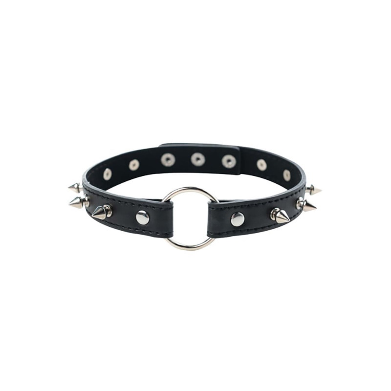 Adjustable collar with spikes - 1