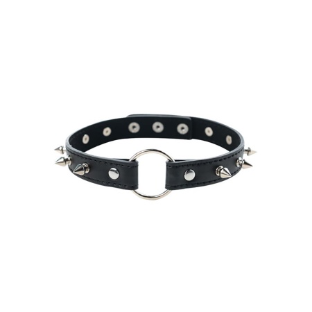 Adjustable collar with spikes - 1