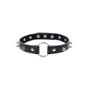 Adjustable collar with spikes - 1