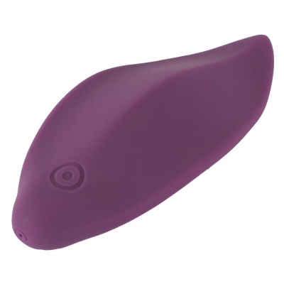 Sweet Smile RC Panty Vibrator - 1 2