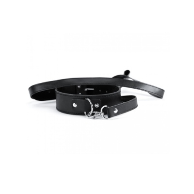 Black Collar And Leash - 1
