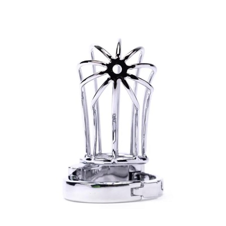 Klatka na penisa Stainless Steel Penis Cage 2 ze stali nierdzewnej z mechanizmem blokady na kłódkę - 5