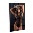 Flow Net Halter Teddy Black - 8