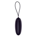 PLEASURE EGGS REMOTE DUSKY PLEASER BLACK - 5