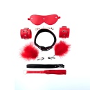 Bondage Set consists of 5 BDSM pieces - 4