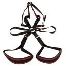 Bad Kitty Body Swing - 3