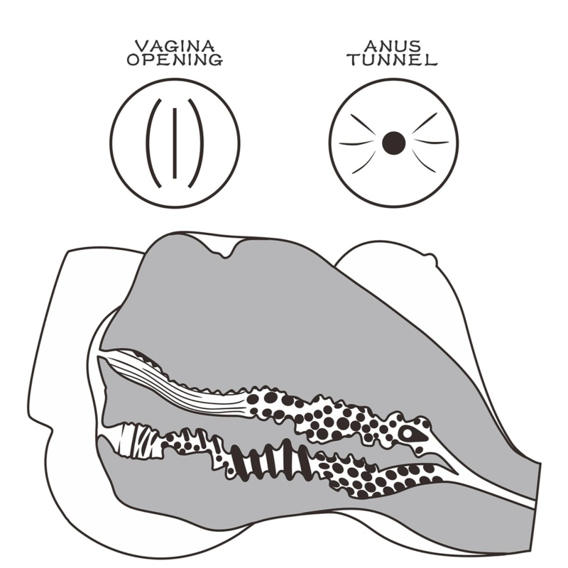 Tors do masturbacji 7 33.5 cm TPE - 9