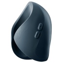 Pulse Duo 2025 - 4