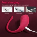 App Love Egg Red - 14