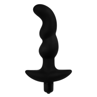 Prostate Massager - 1