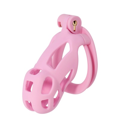 Klatka na penisa Penis Prison Cock Cage Regular z regulowanymi pierścieniami, 10 cm - 1