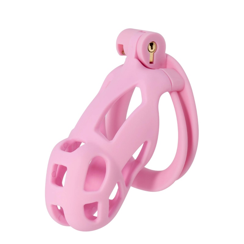 Klatka na penisa Penis Prison Cock Cage Regular z regulowanymi pierścieniami, 10 cm - 1