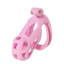 Klatka na penisa Penis Prison Cock Cage Regular z regulowanymi pierścieniami, 10 cm - 1