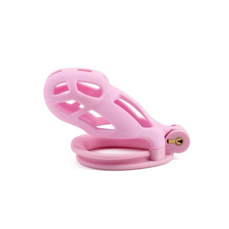 Klatka na penisa Penis Prison Cock Cage Regular z regulowanymi pierścieniami, 10 cm - 3