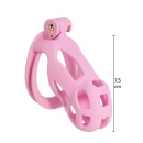 Klatka na penisa Penis Prison Cock Cage Regular z regulowanymi pierścieniami, 10 cm - 4