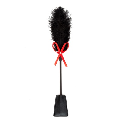 Fetish B-Series Tickler & Whip 2.0 - 1