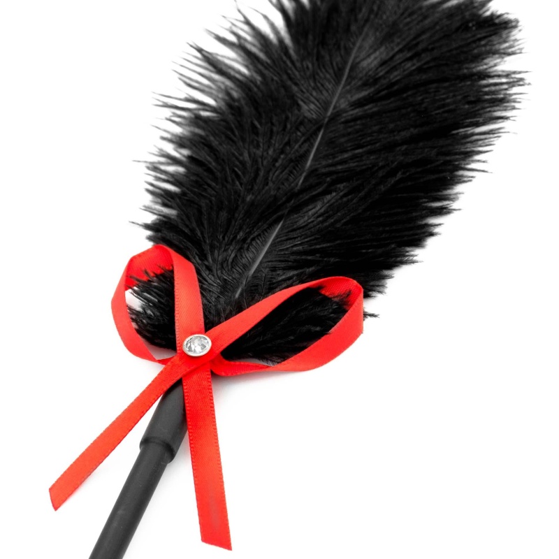 Fetish B-Series Tickler & Whip 2.0 - 3