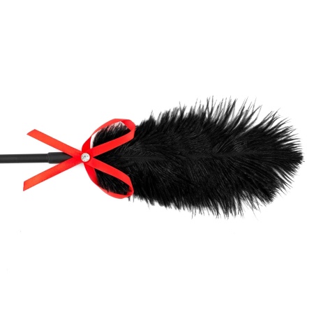 Fetish B-Series Tickler & Whip 2.0 - 4