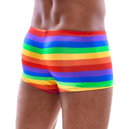 Men's Boxer Briefs Rainbow XL - 3