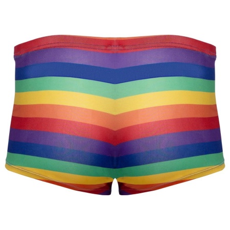 Men's Boxer Briefs Rainbow XL - 6