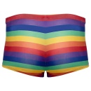 Men's Boxer Briefs Rainbow XL - 6