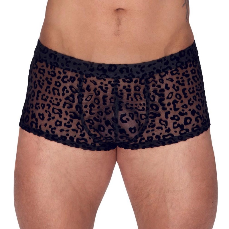 Noir M.Pants leo 2XL - 2