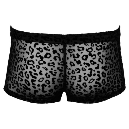 Noir M.Pants leo 2XL - 5