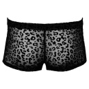 Noir M.Pants leo 2XL - 5