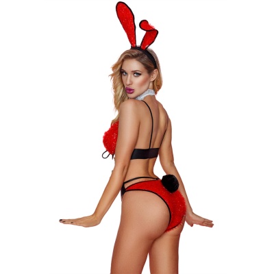 BUNNY OUTFIT 5 PCS ROUG TU (Size: TU) - 1 2