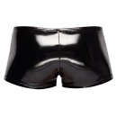 Vinyl M. Pants Biker XL - 6
