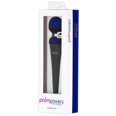 palmpower recharge blue - 1
